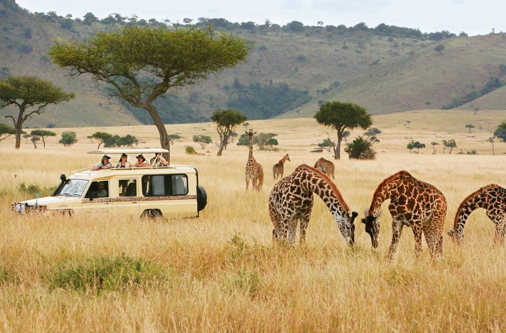 Safari động vật hoang dã tại Kenya