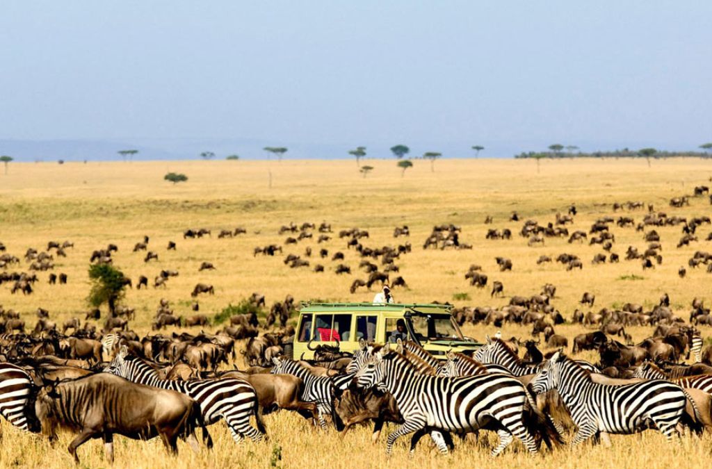 Kenya mùa hè