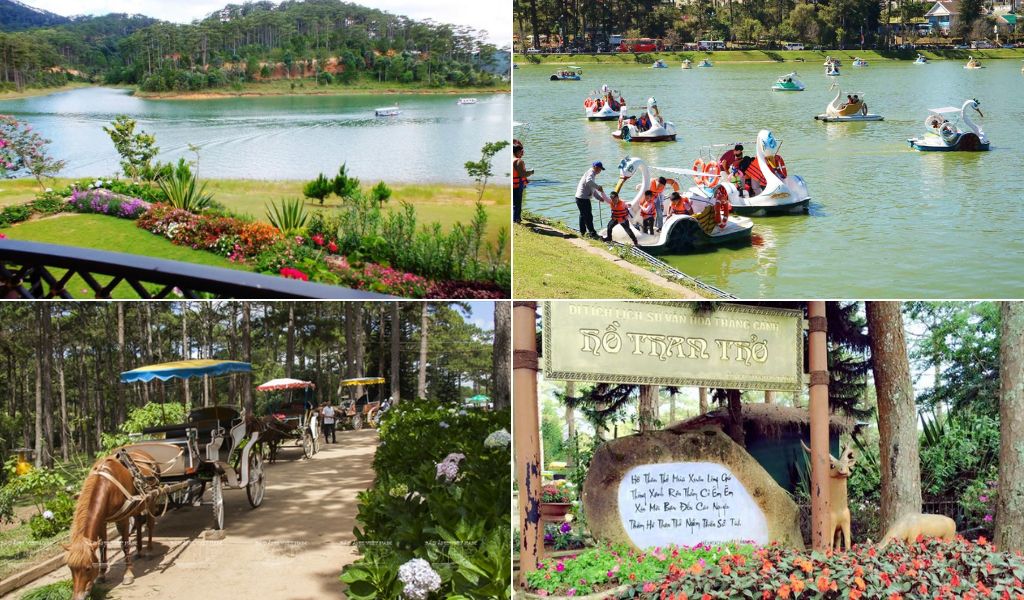 Hồ Than Thở giữa rừng thông
