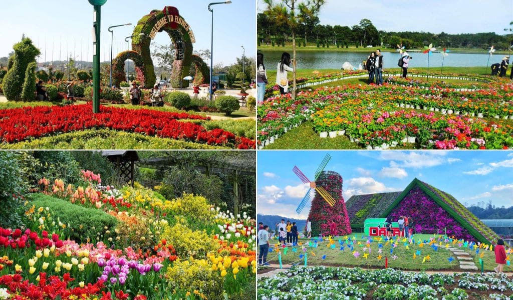 Sắc hoa tại Vườn hoa thành phố Đà Lạt