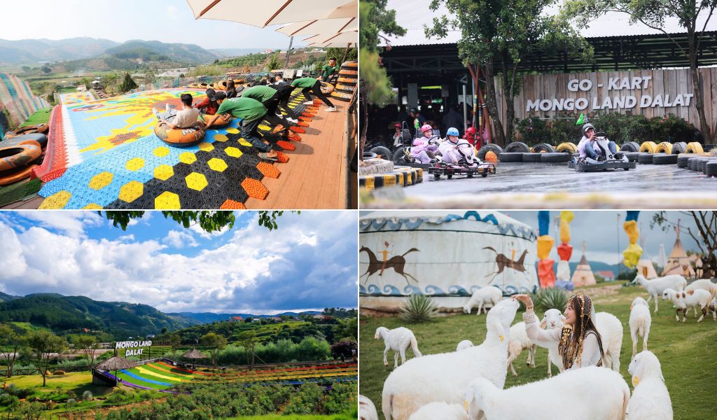 Đồng cỏ thảo nguyên và các hoạt động vui chơi tại Mongo Land