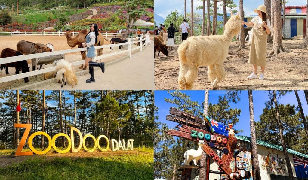 Vườn thú ZooDoo giữa rừng thông