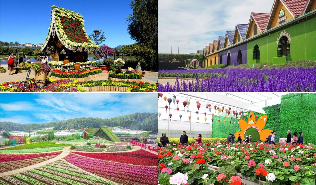 Vườn hoa tại Vạn Hoa Đà Lạt