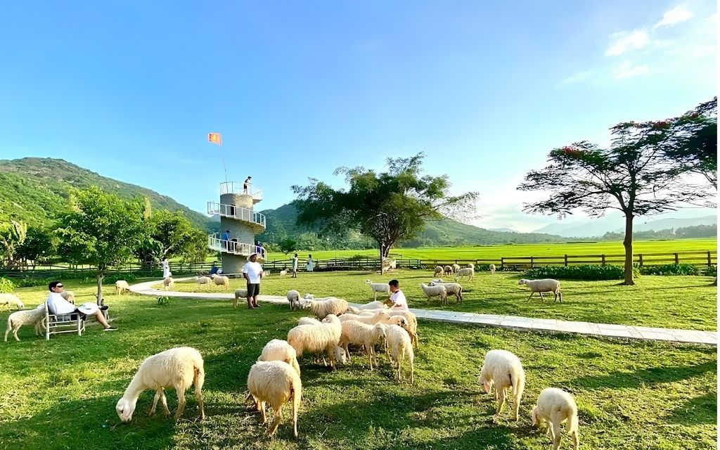 Đồng cừu An Hòa 
