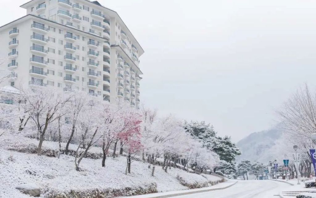 Ăn uống và nghỉ ngơi tại Elysian Gangchon 