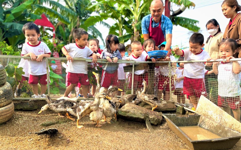 Baby Farm Đà Nẵng