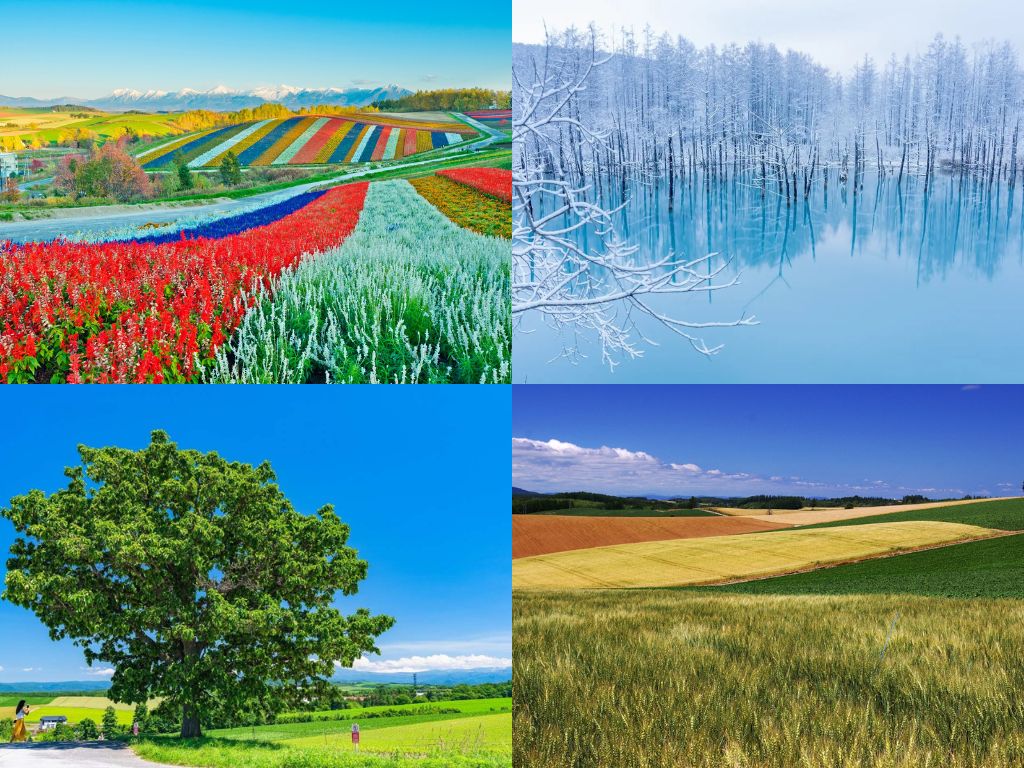 Những điểm đến hút khách ở Biei