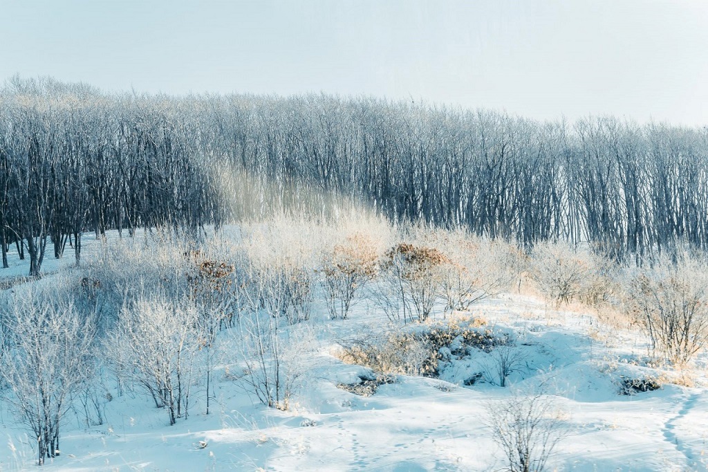Thiên đường tuyết trắng ở Hokkaido