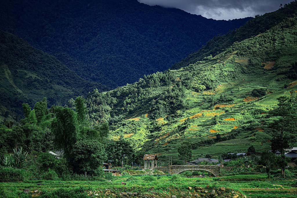 Không gian xanh mát nơi bản Lìm Mông