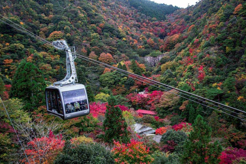 Khung cảnh Kobe nhìn từ núi Rokko