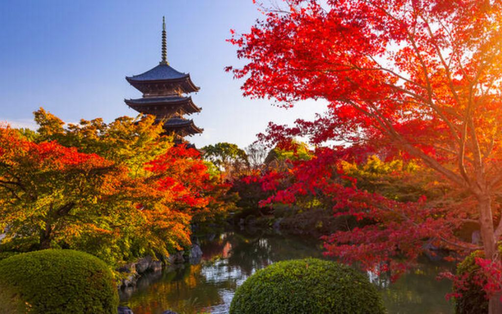 kyoto mùa lá đỏ