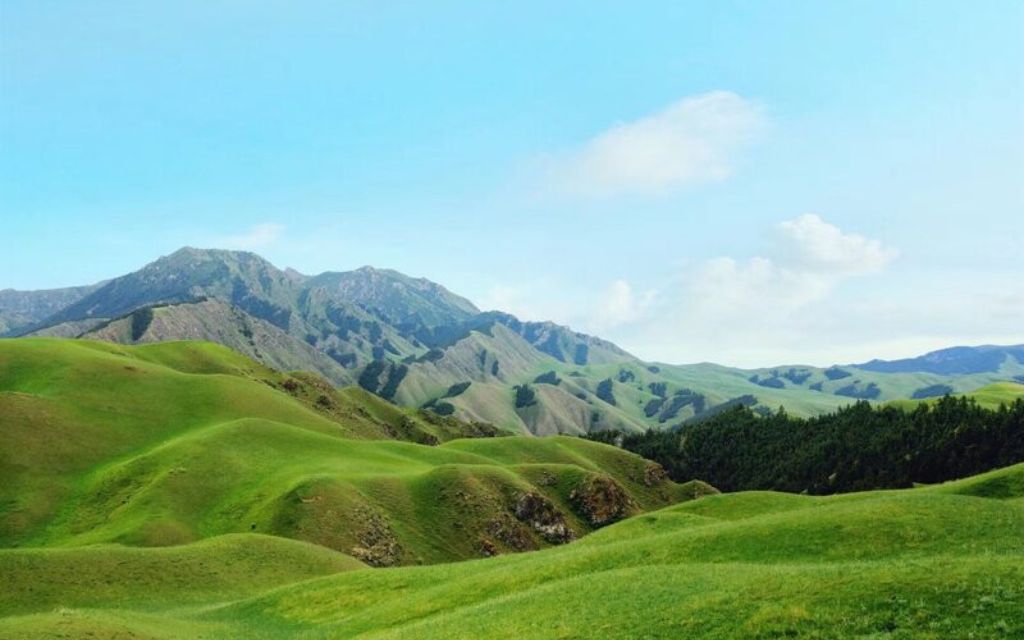 Thảo nguyên Cam Hải Tử