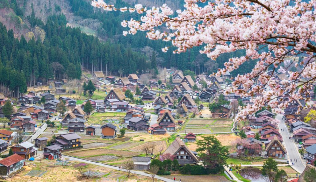 Cảnh sắc làng Shirakawa-go vào mùa xuân