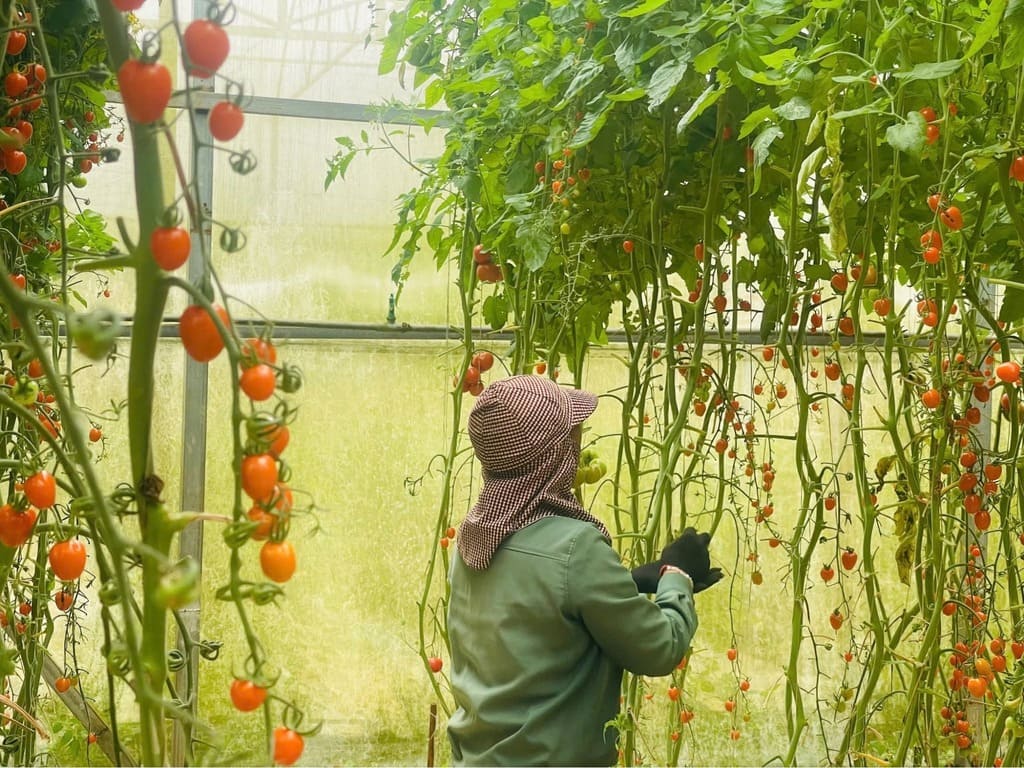 Tham quan vườn trái cây tại làng hoa Vạn Thành