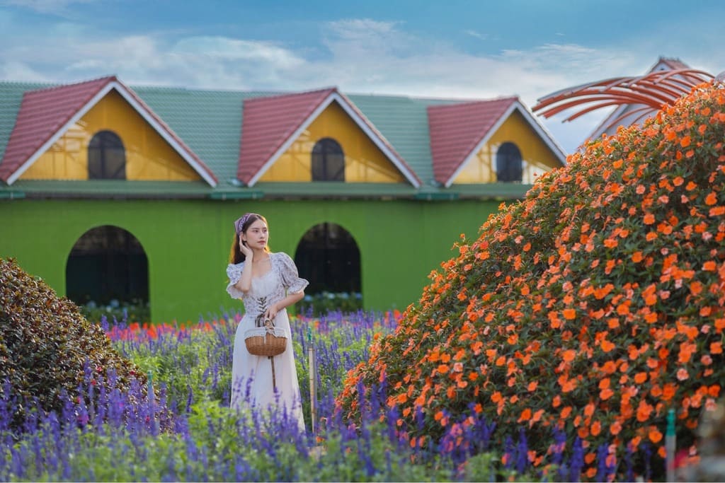 Vườn hoa làng Vạn Thành buổi sáng