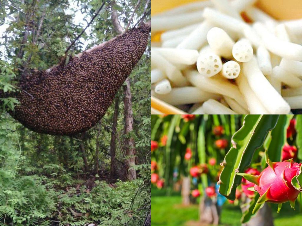 Đặc sản địa phương mua về làm quà khi du lịch Làng nổi Tân Lập