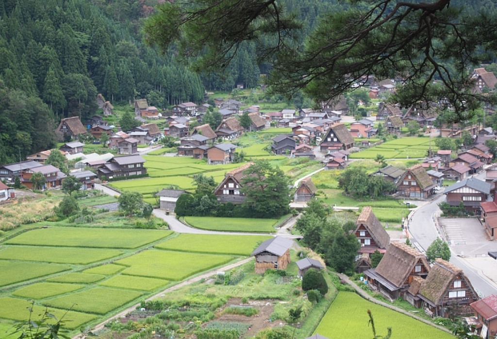 Đài quan sát Ogimachi ngắm trọn làng cổ Shirakawa-go