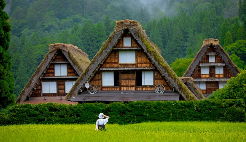 Làng Shirakawa-go vào mùa hè