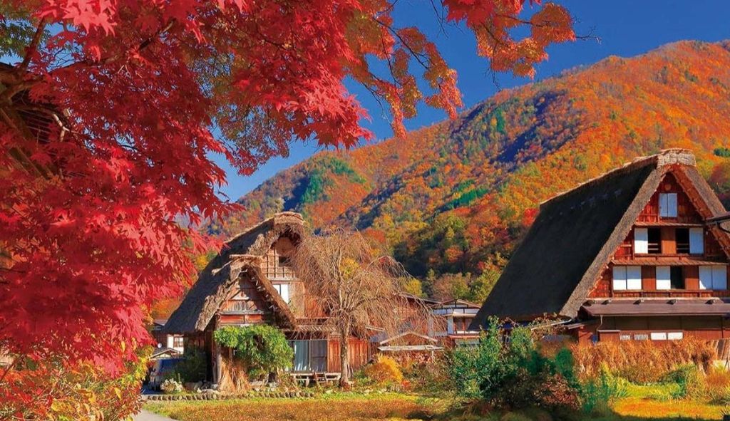 Mùa thu là thời điểm đẹp nhất để ghé thăm làng Shirakawa-go