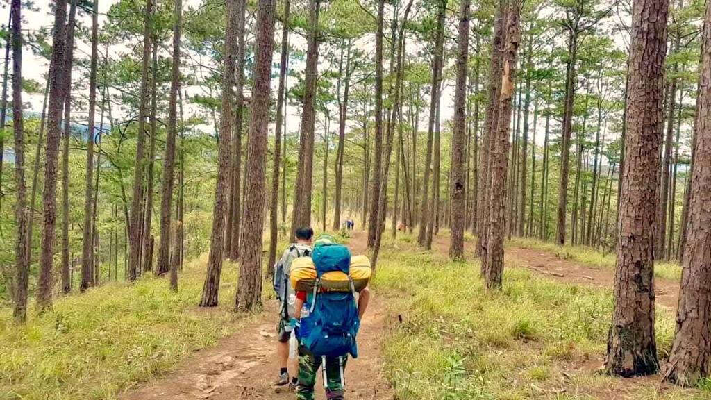 Trekking chinh phục đỉnh Ông - đỉnh Bà Langbiang