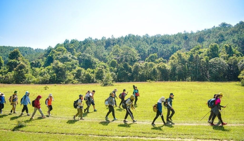 Trekking qua các đỉnh núi Langbiang giữa rừng thông