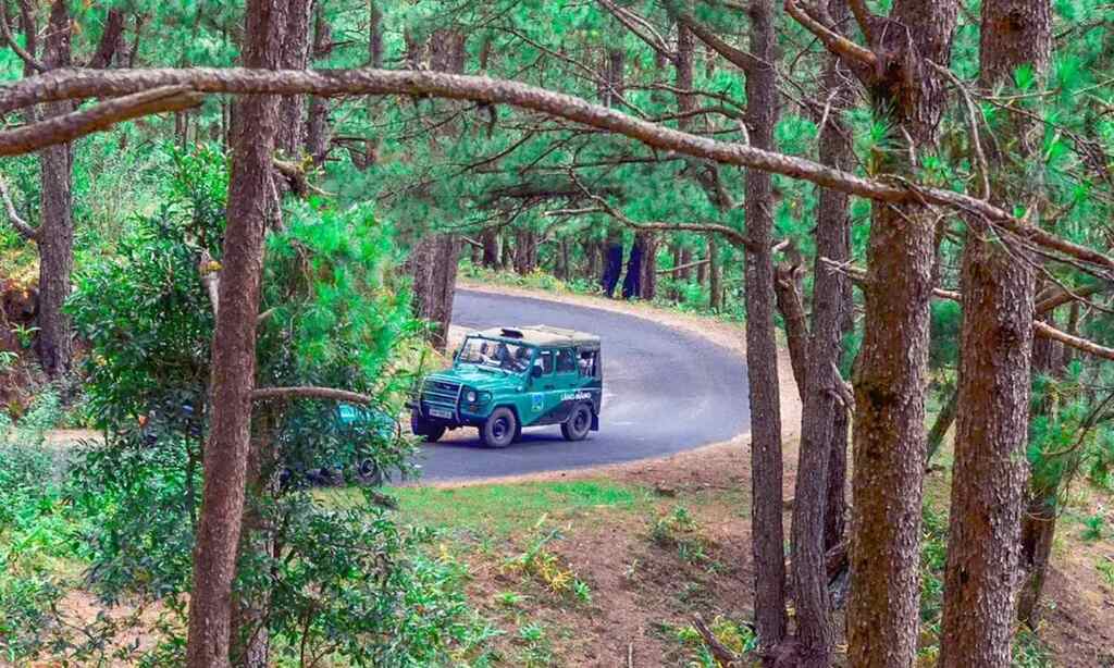 Xe Jeep chở khách lên đỉnh Langbiang Đà Lạt