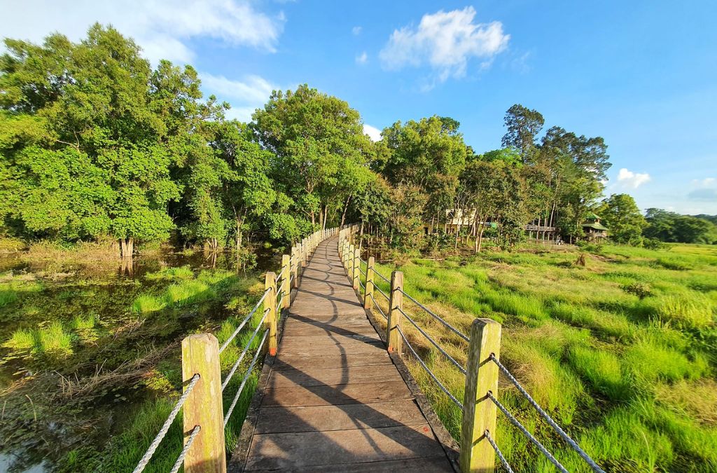 Lối đi giữa rừng Nam Cát Tiên