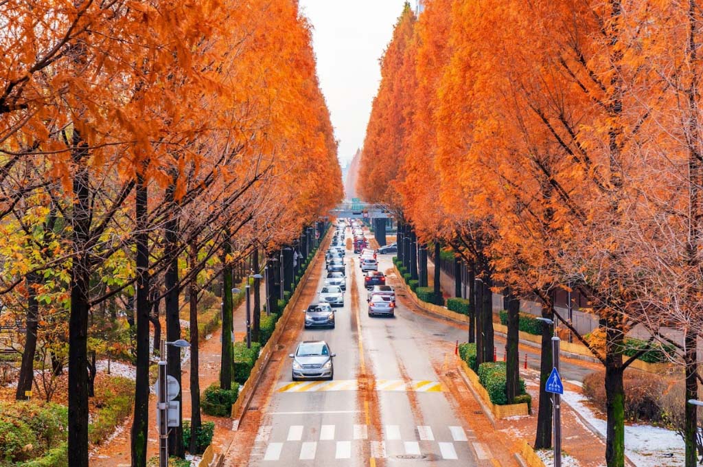 Mùa lá đỏ Hàn Quốc