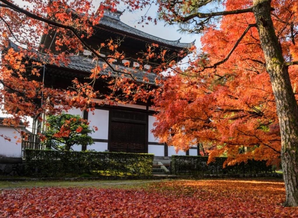 Lá đỏ tại chùa Tofuku-ji 