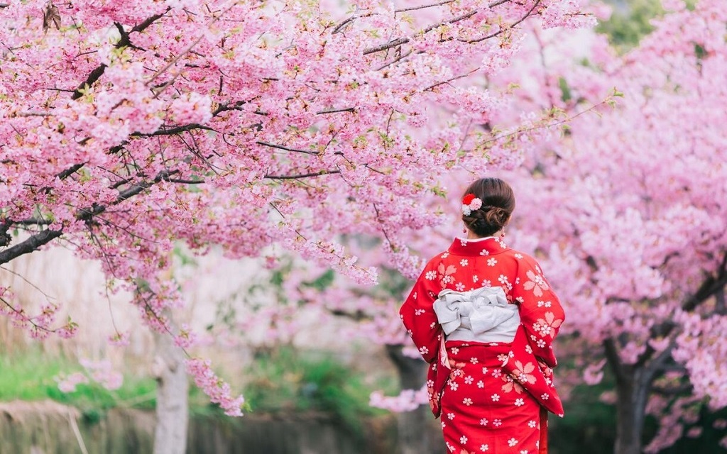 Đón xuân Nhật Bản ở Kyoto