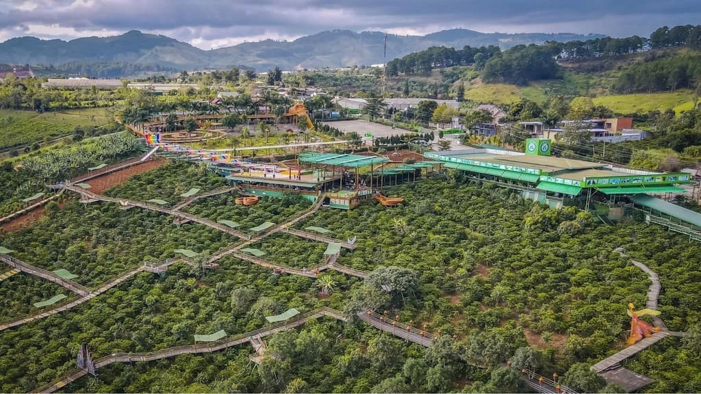 View đồi cà phê và núi rừng tại Mê Linh Coffee Garden