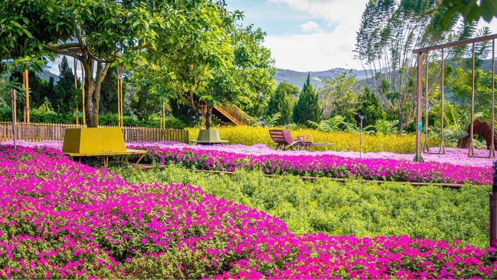 Vườn hoa theo mùa, điểm check-in tại Mê Linh Coffee Garden