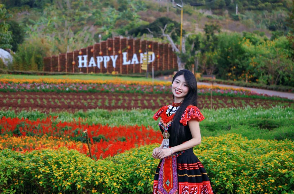 Thung lũng hoa nhiều màu sắc tại khu du lịch Mộc Châu Happy Land