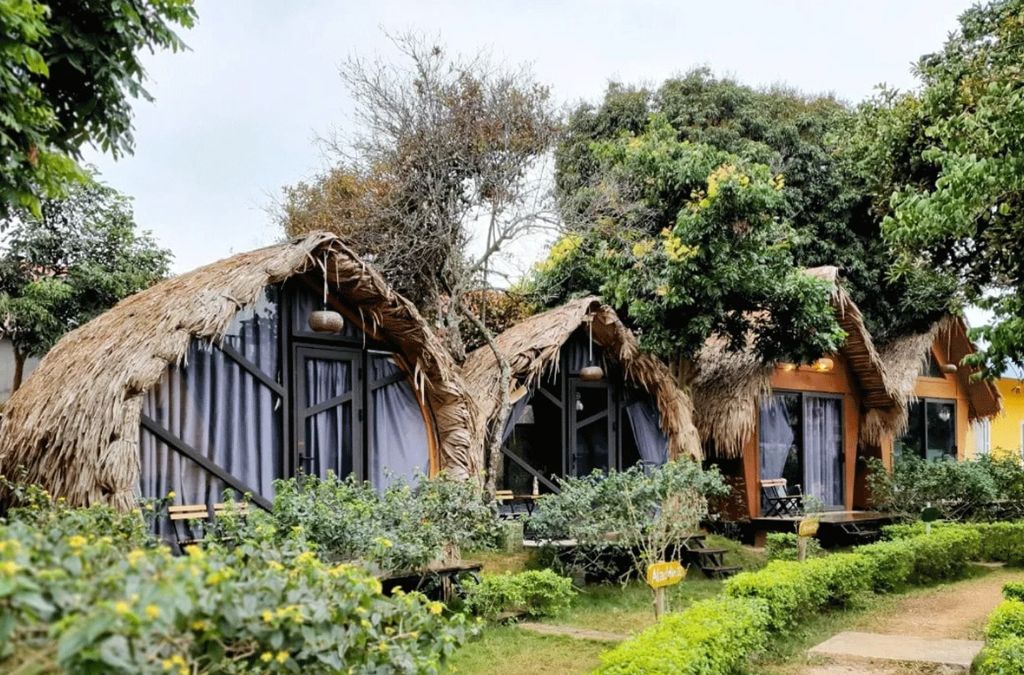 Homestay giữa không gian thiên nhiên xanh mát tại Mộc Châu