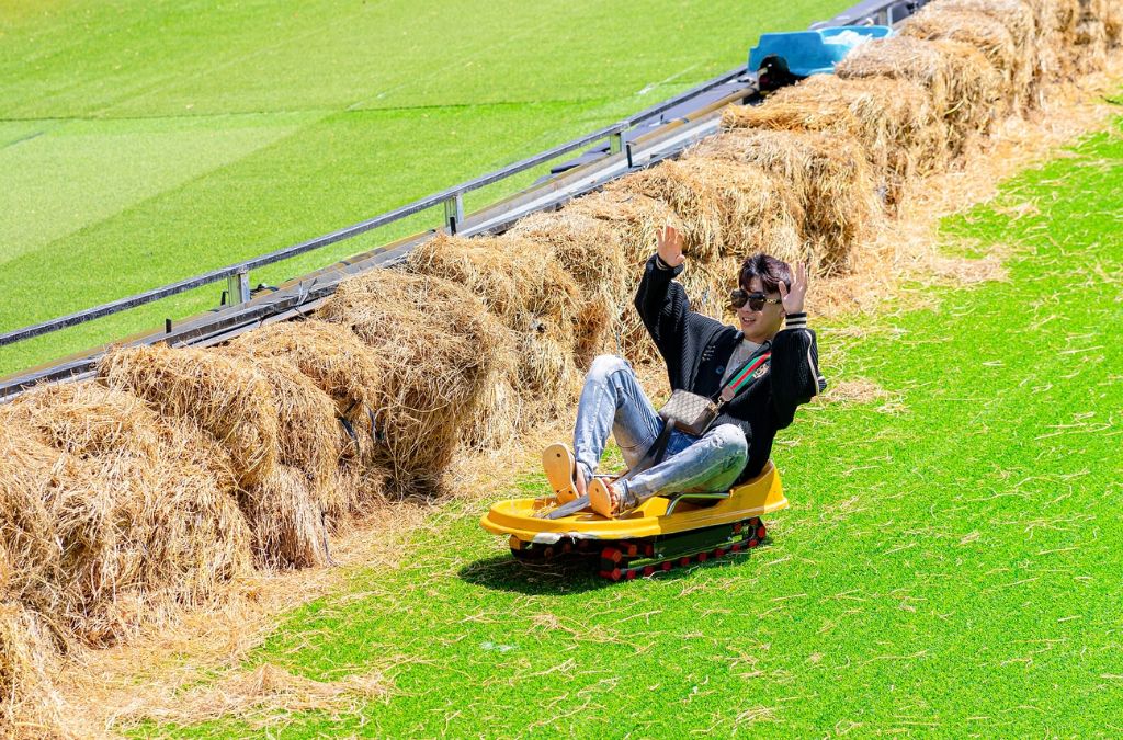 Trượt cỏ trên triền đồi tại Mongo Land