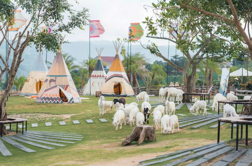 Lều Yurt và đàn cừu trên thảo nguyên Mongo Land