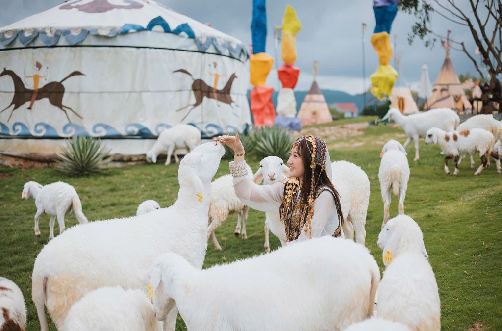 Cô gái cho cừu ăn tại nông trại Mongo Land