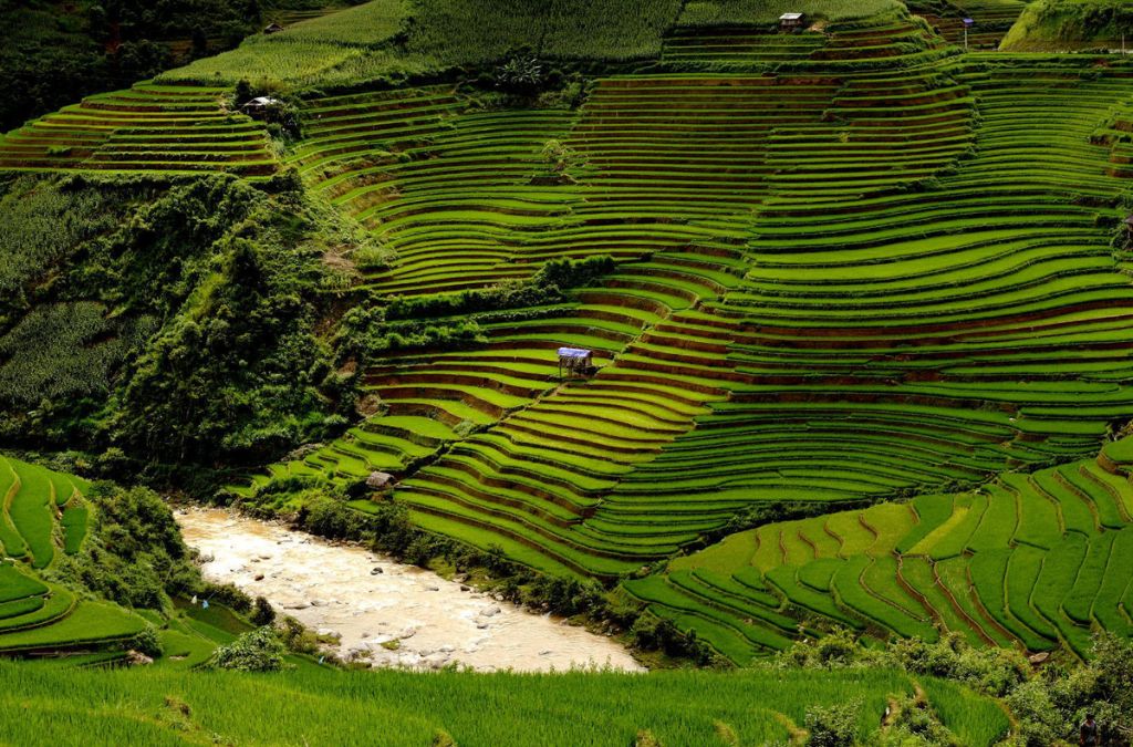 Ruộng bậc thang Dế Xu Phình bên dòng suối