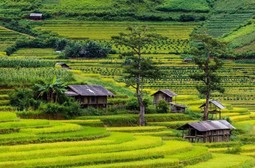 Nhà gỗ giữa ruộng bậc thang Lìm Mông - Lìm Thái
