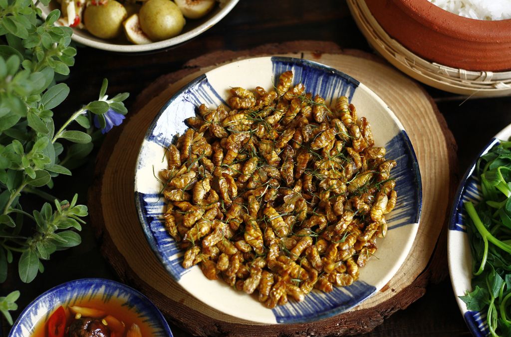 Nhộng ong rừng rang tại Mù Cang Chải
