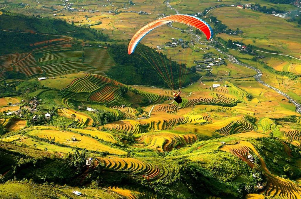 Dù lượn trên ruộng bậc thang Mù Cang Chải mùa vàng