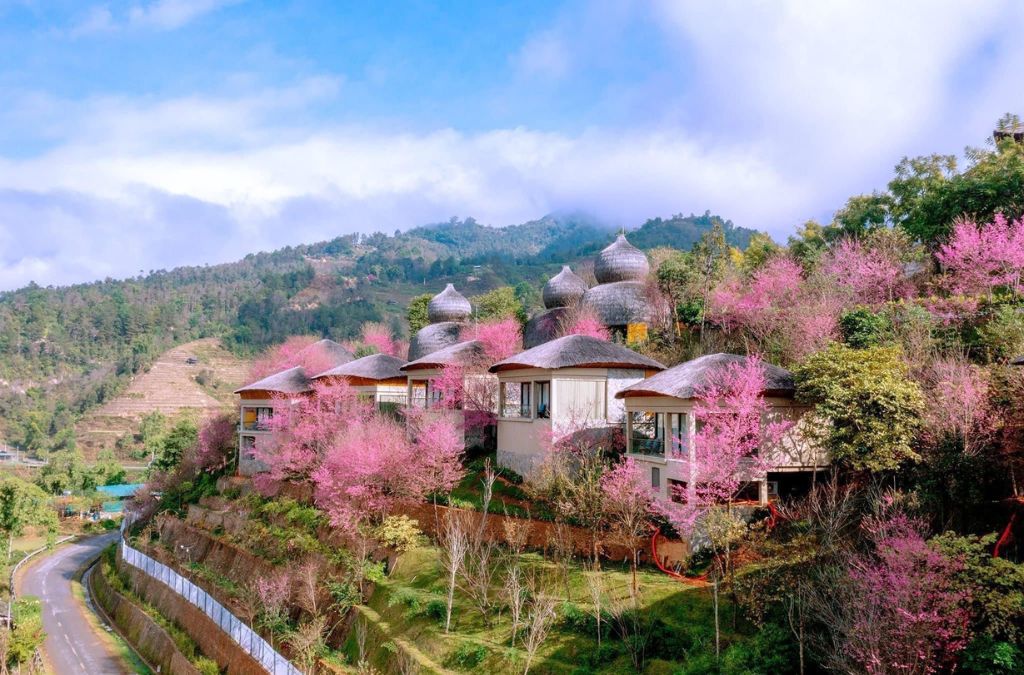 Homestay giữa núi rừng Mù Cang Chải
