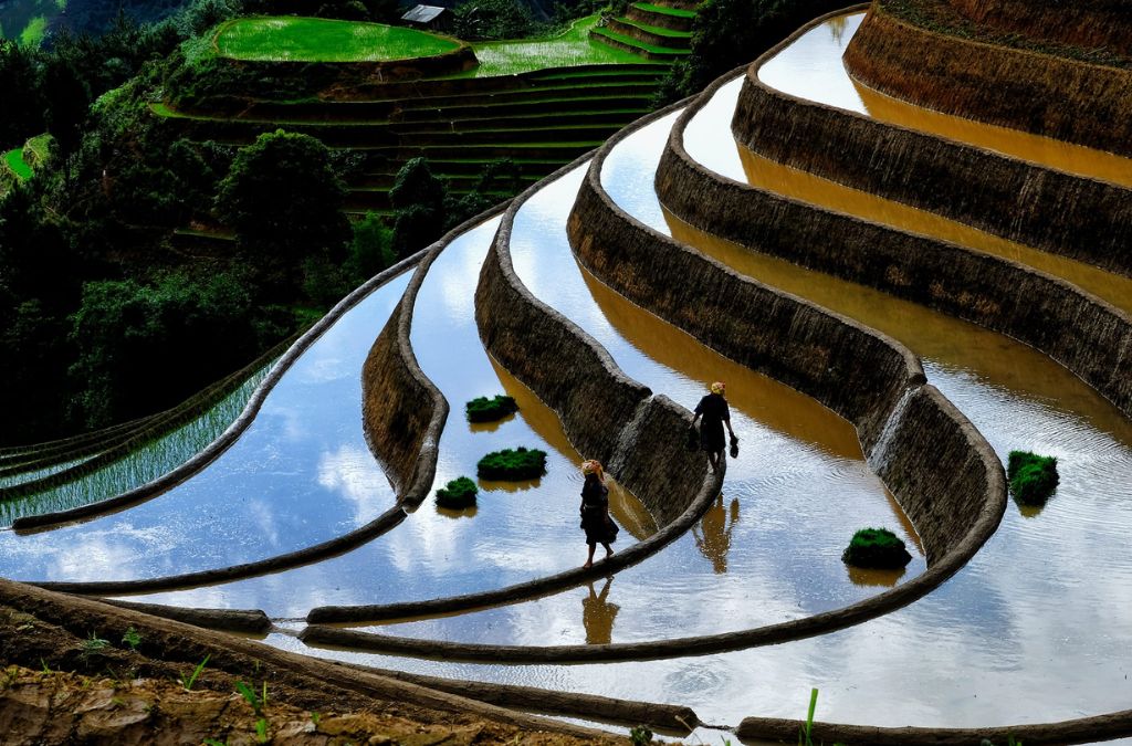 Ruộng bậc thang Mù Cang Chải mùa nước đổ
