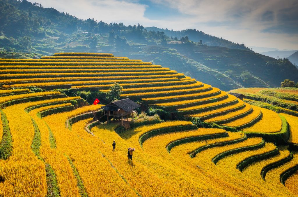 Ruộng bậc thang Mù Cang Chải mùa lúa chín