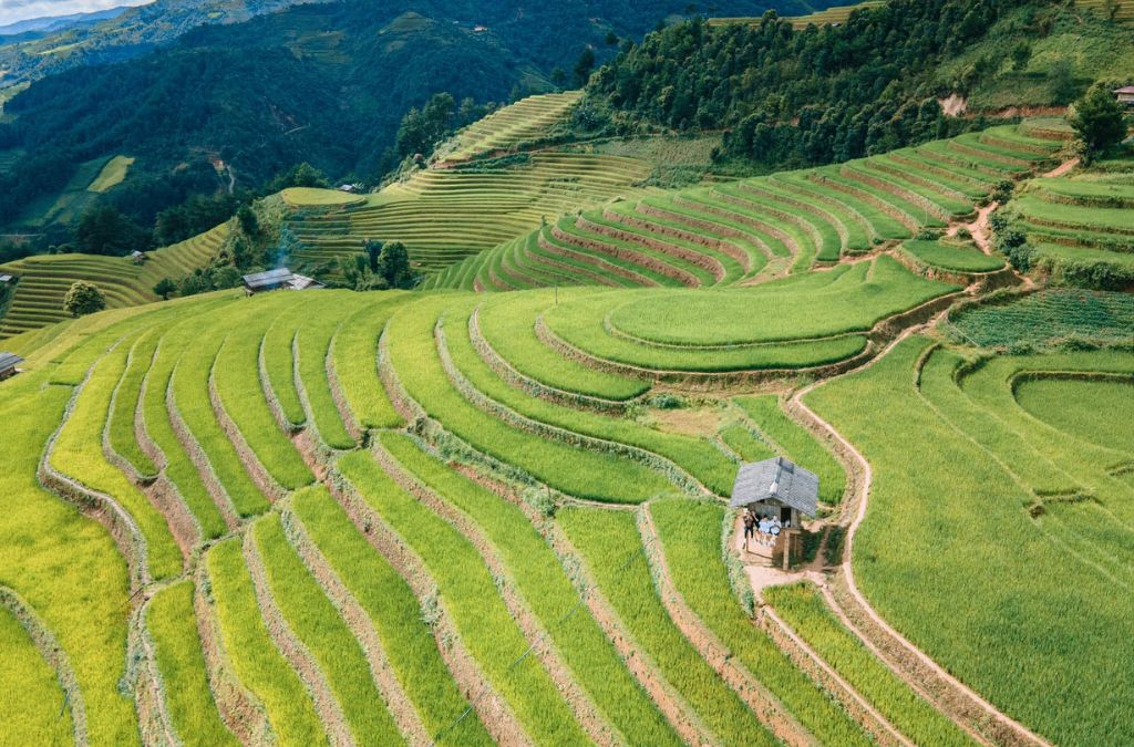 Ruộng bậc thang tại Đồi Mâm Xôi Mù Cang Chải