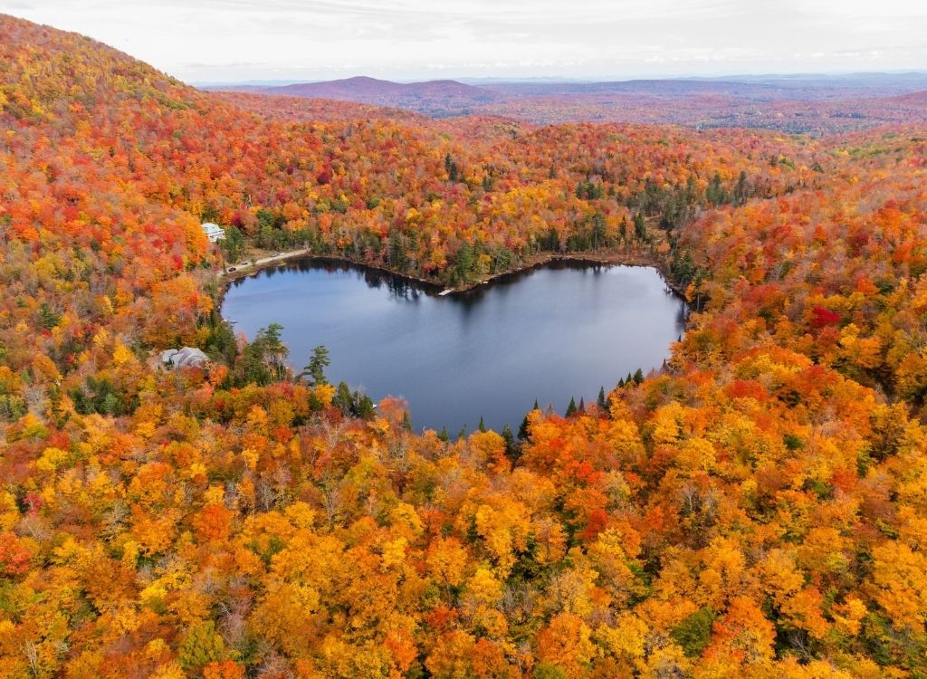 Rừng Canada mùa peak foliage 