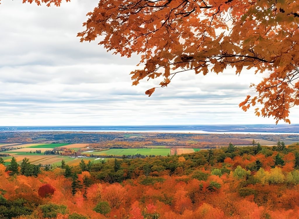 Rừng thu Công viên Gatineau