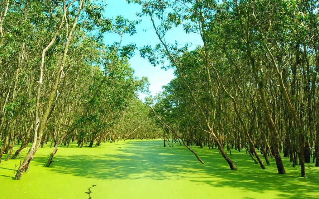 An Giang mùa nước nổi