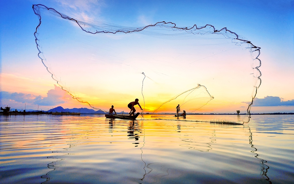 Giăng lưới bắt cá linh
