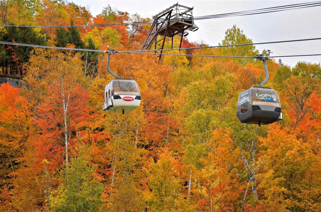 Cáp treo giữa rừng thu Mont-Tremblant